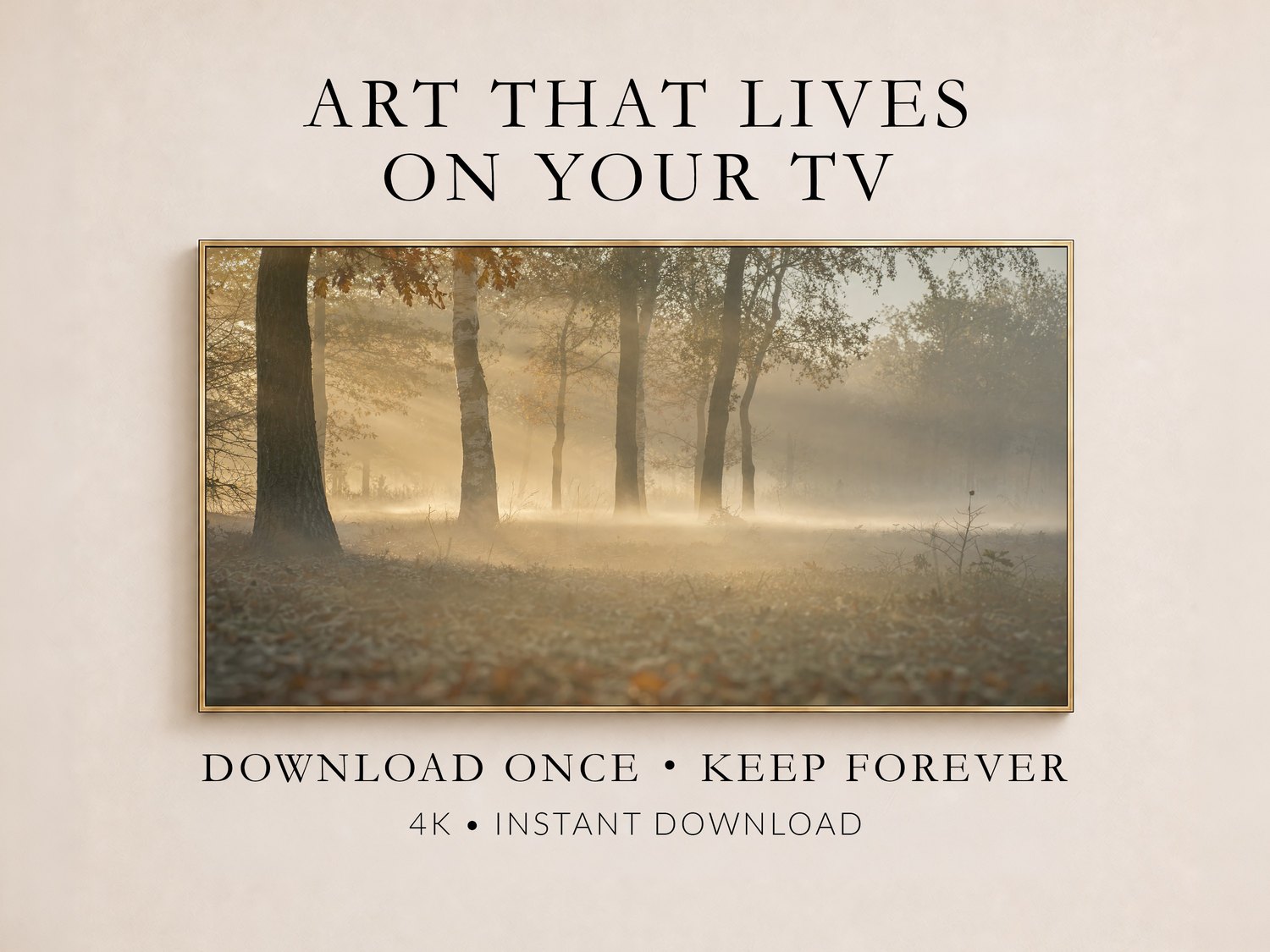 Misty forest artwork with glowing sunbeams and birch trunks shown in a thin gold frame on a cream wall, promoting Frame TV art you download once and keep forever in 4K.