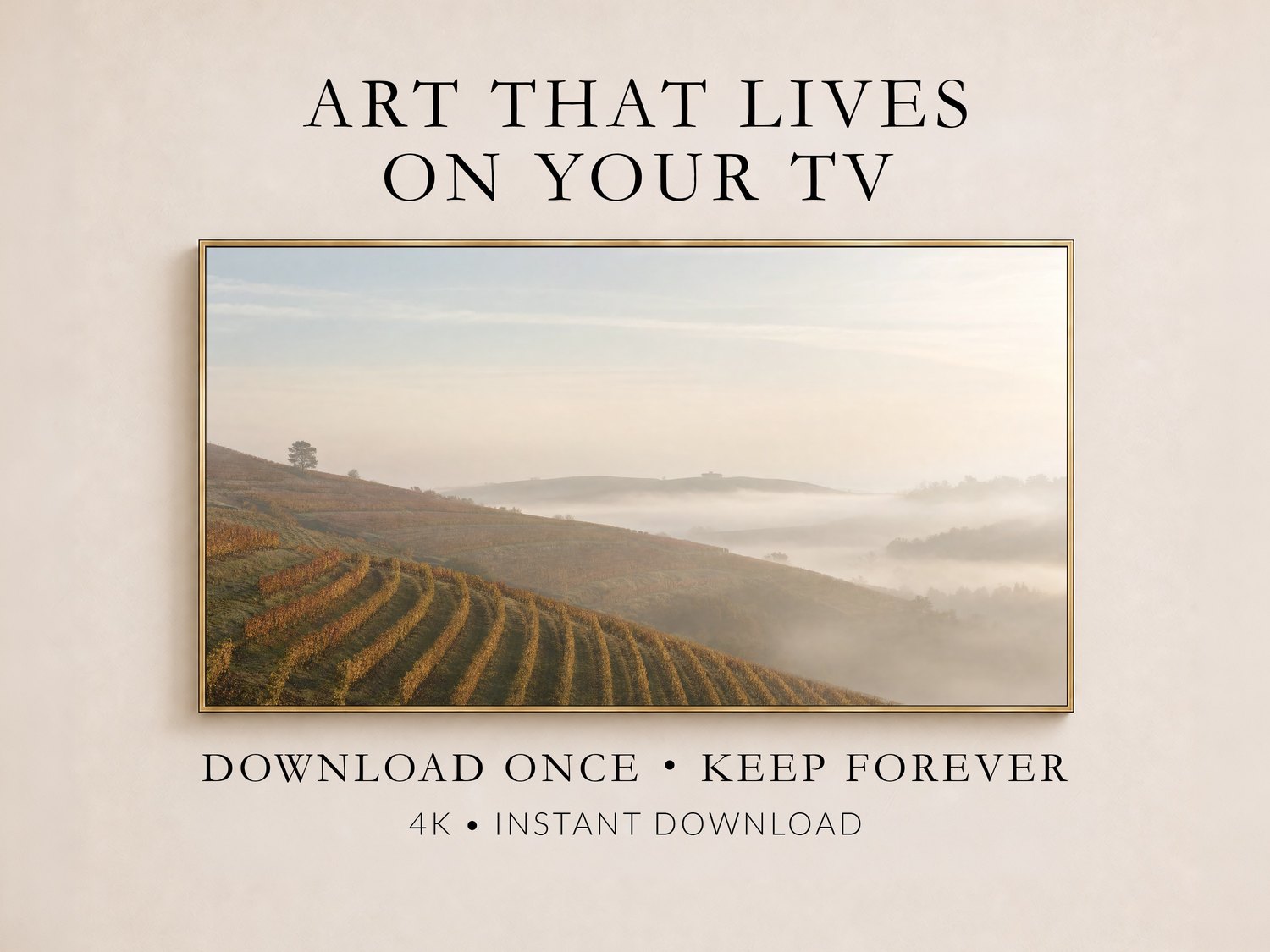 Foggy vineyard hillside art displayed in a thin gold frame on a cream wall, showing gold and rust terraced rows fading into morning mist, part of a promotional layout for Frame TV digital downloads.