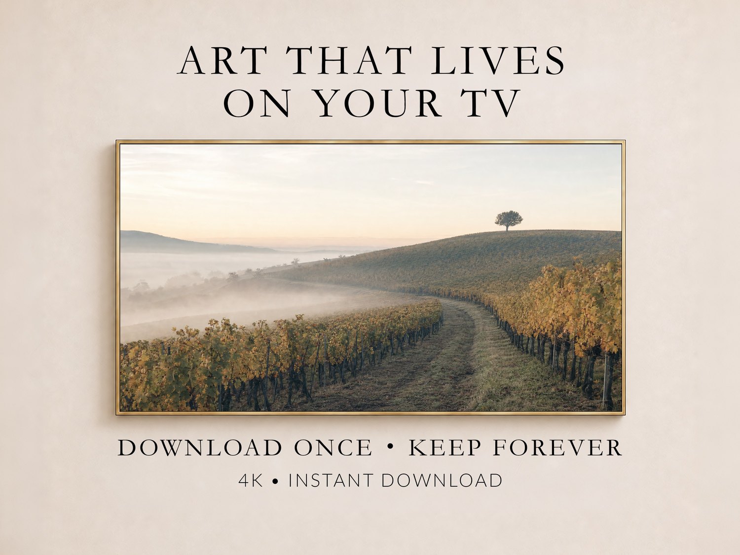 Foggy vineyard hillside art with a lone tree on the ridge, shown in a thin gold frame on a cream wall, illustrating Frame TV art you download once and keep forever in 4K.