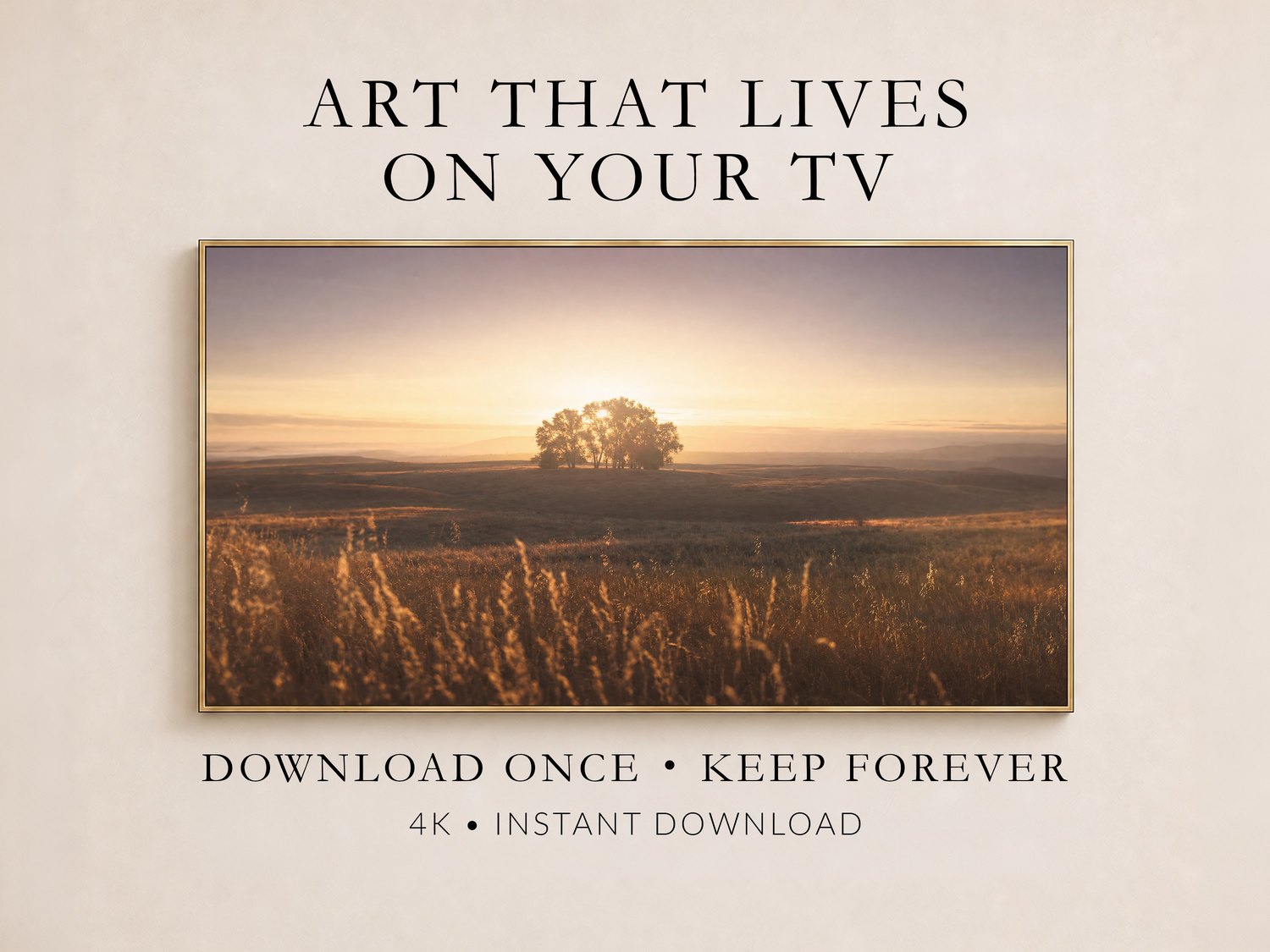 Golden Hour Meadow landscape Frame TV art displayed on a thin gold-framed screen against a soft cream wall, showing a distant tree line glowing amber beneath a pale sky with foreground grasses backlit and warm.