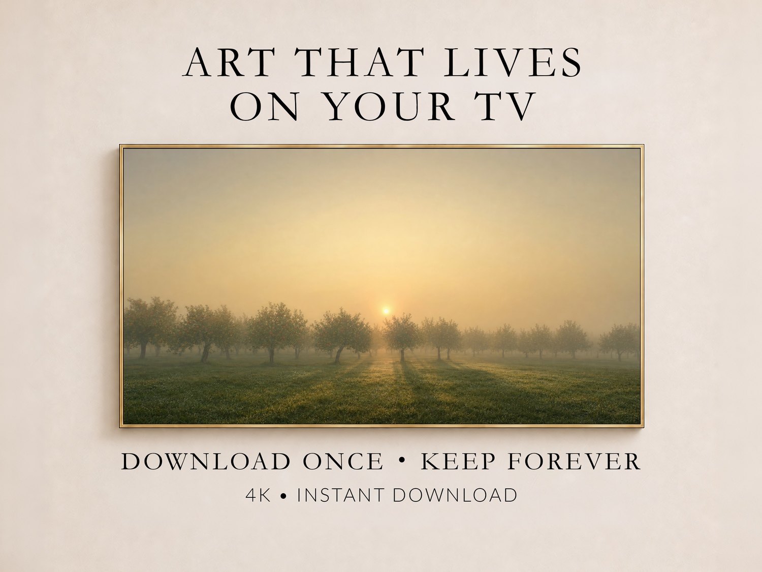 Misty apple orchard art in a thin gold frame on a cream wall, showing a foggy sunrise over rows of trees, part of a promo layout reading Art That Lives On Your TV, 4K instant download.