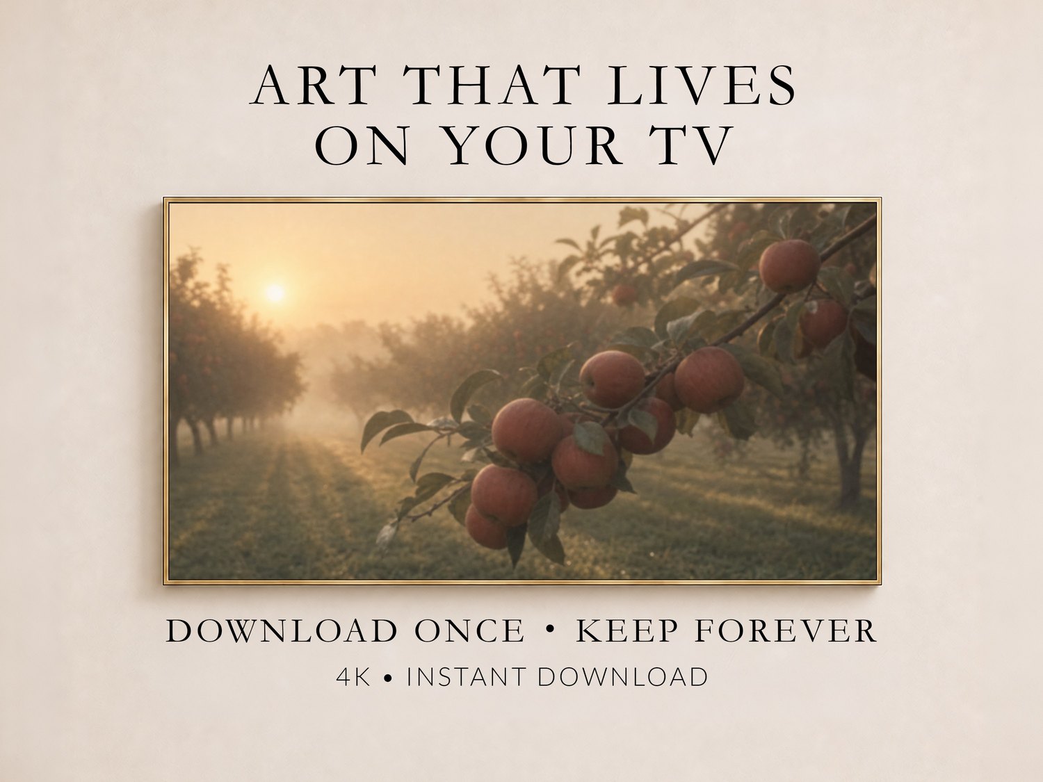 Misty apple orchard artwork in a thin gold frame on a cream wall, showing a dew-damp branch of rust-red apples with sun-hazed rows behind, promoted as 4K instant download Frame TV art you keep forever.