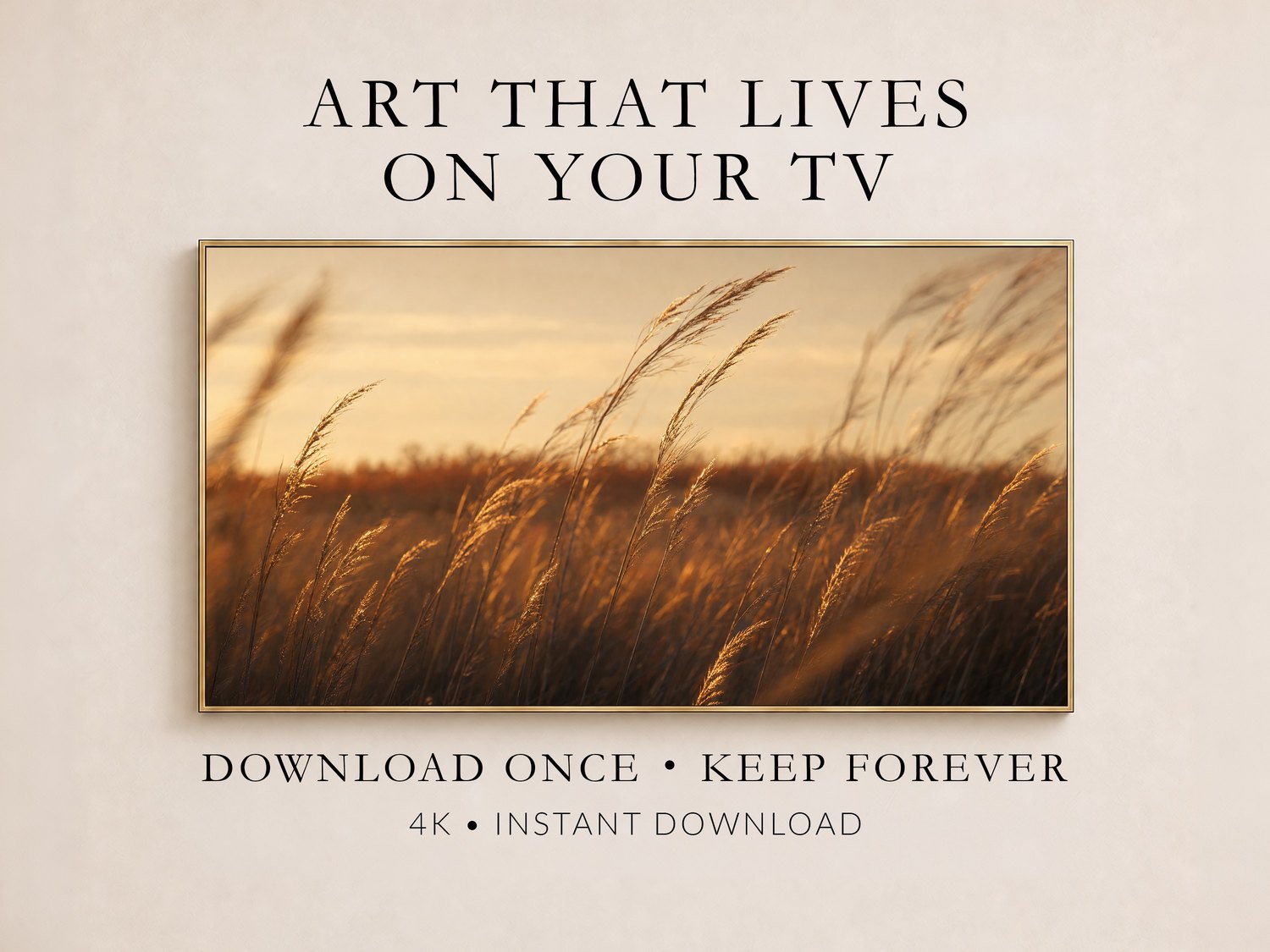Golden prairie grass artwork displayed in a thin gold frame on a soft cream wall, showing sunlit amber stalks against a hazy sky, part of a promotional layout for downloadable Frame TV art.