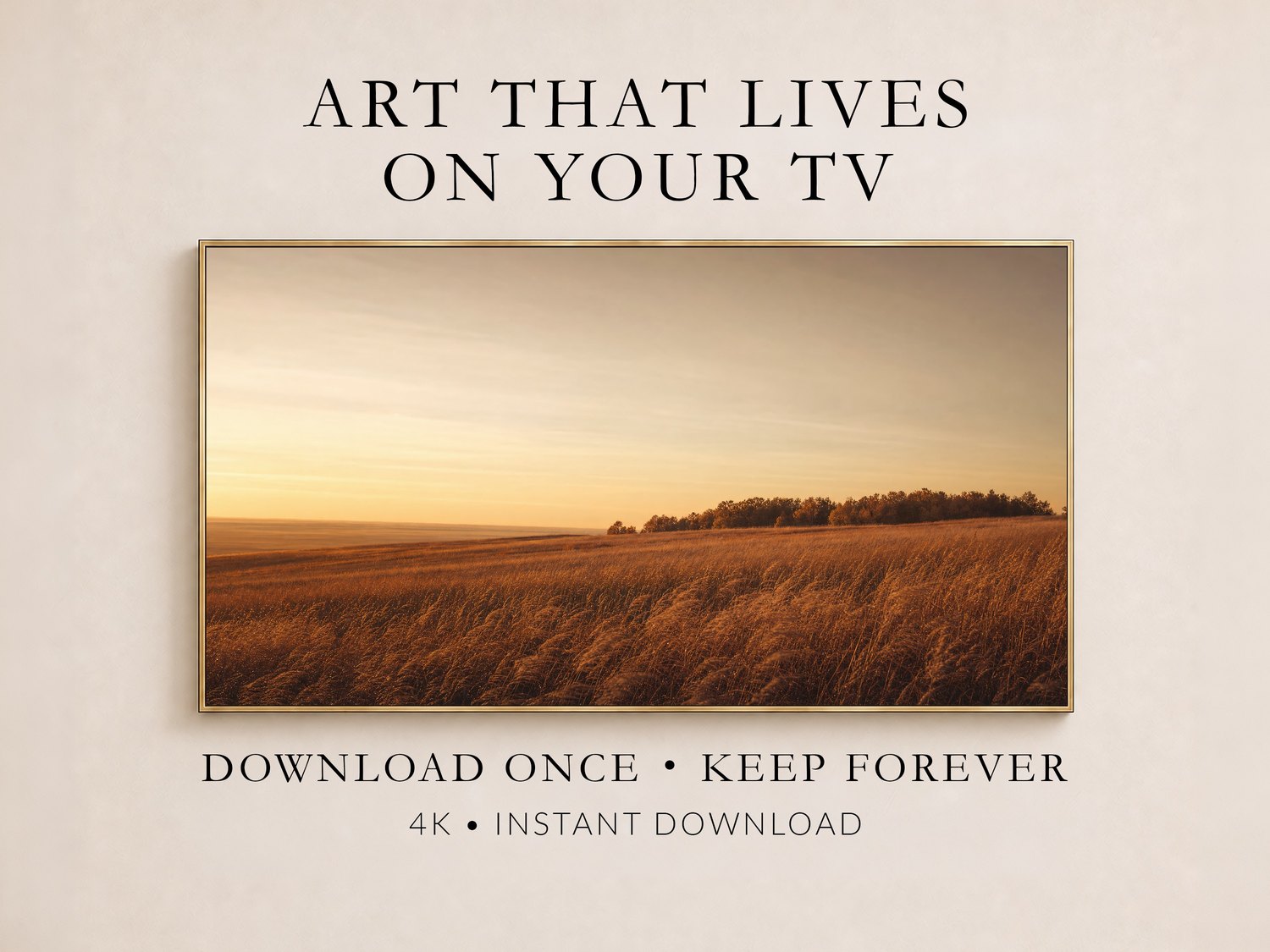 Golden windblown field art displayed on a Frame TV in a thin gold frame against a soft cream wall, showing warm amber grass and a muted sky, promoted as instant 4K download art for your TV.